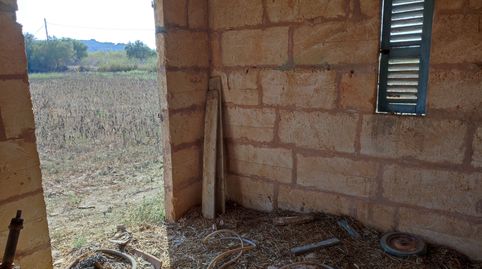 Finca de 4274 m2 con caseta agrícola de 15 m2 y pozo de agua, immagine 5