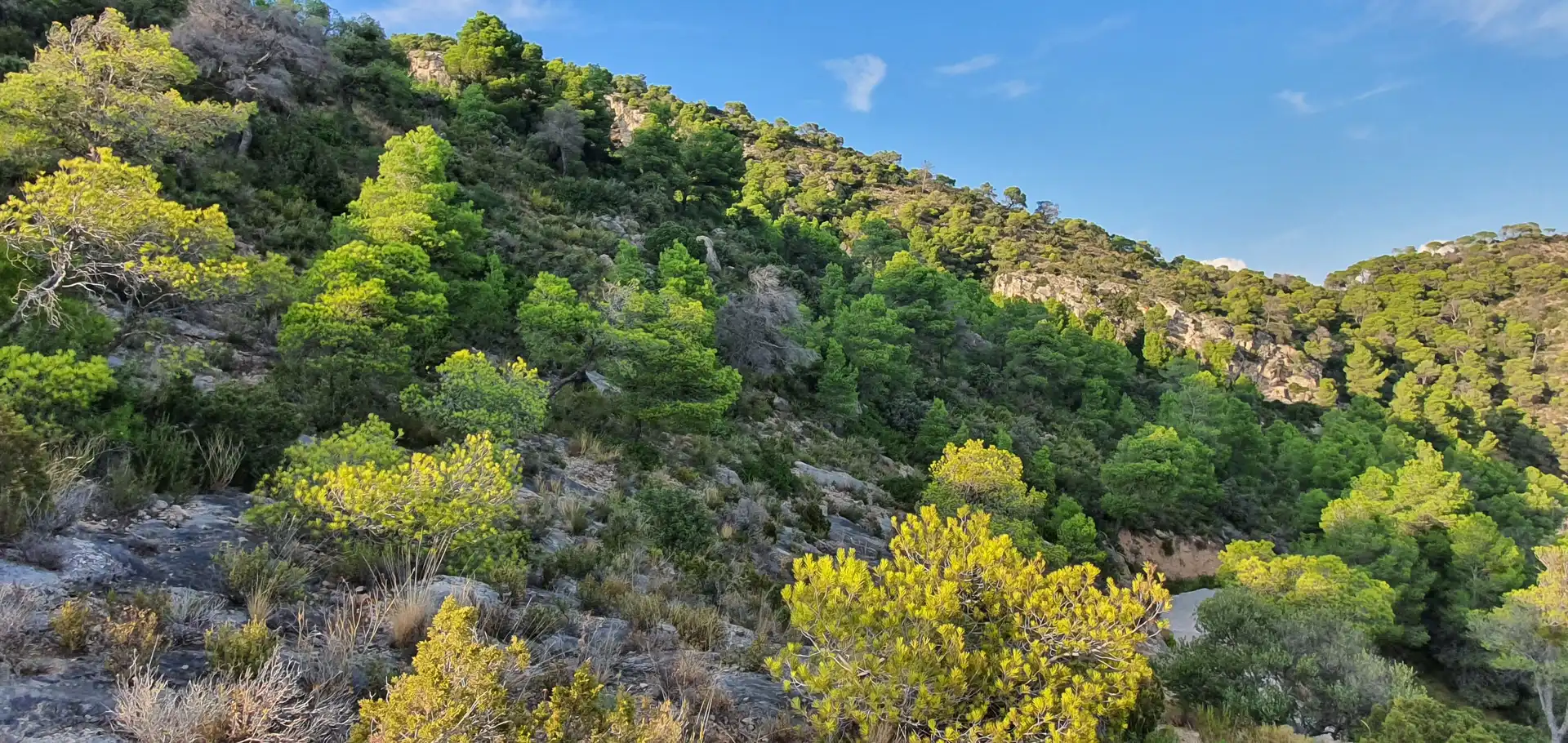 Wohnbaugrundstück zum Verkauf in El Pinell de Brai, imagen 23