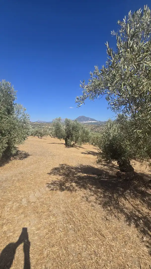 Terrain rustique à vendre à Las Vegas - Campoaras, imagen 16