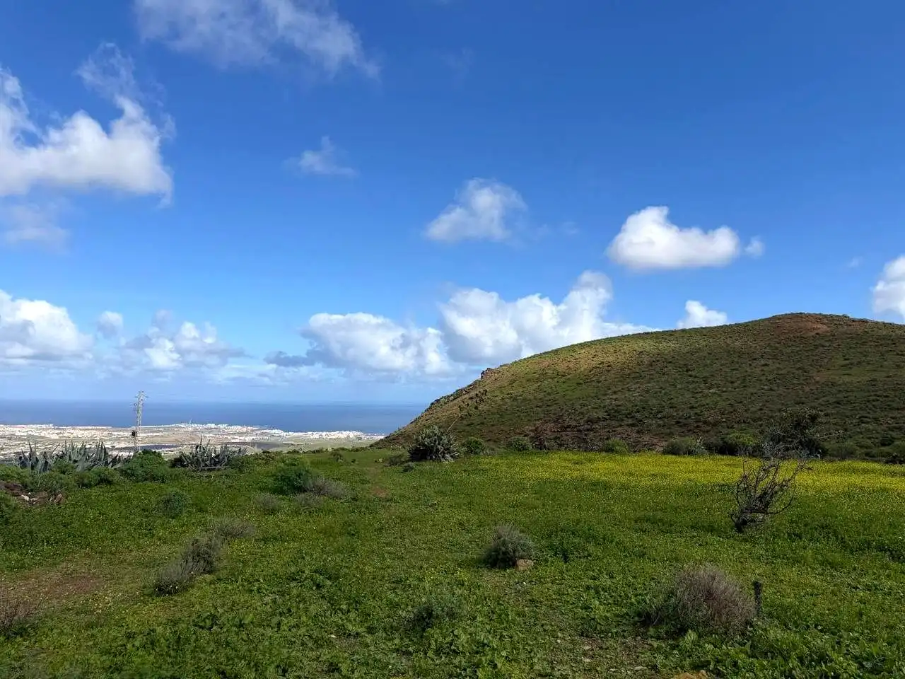 Vista exterior de Finca rústica en venta en Telde con Jardín privado y Terraza