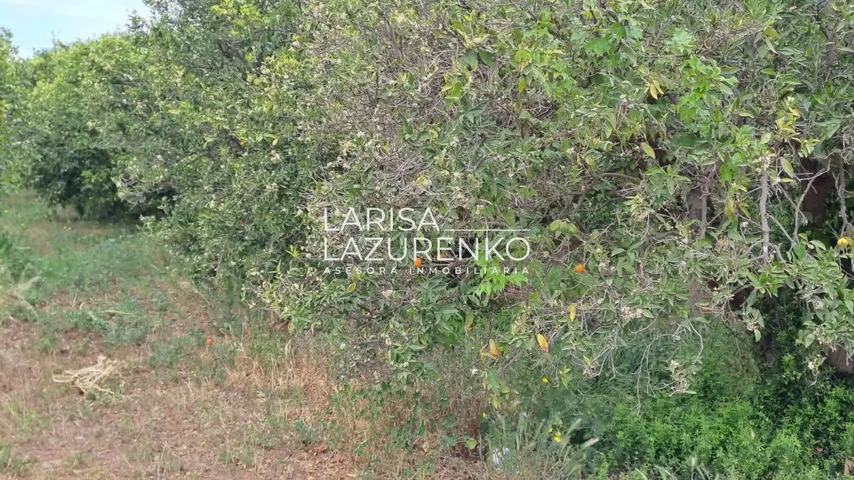 Finca rústica en venda en Vinyols i els Arcs