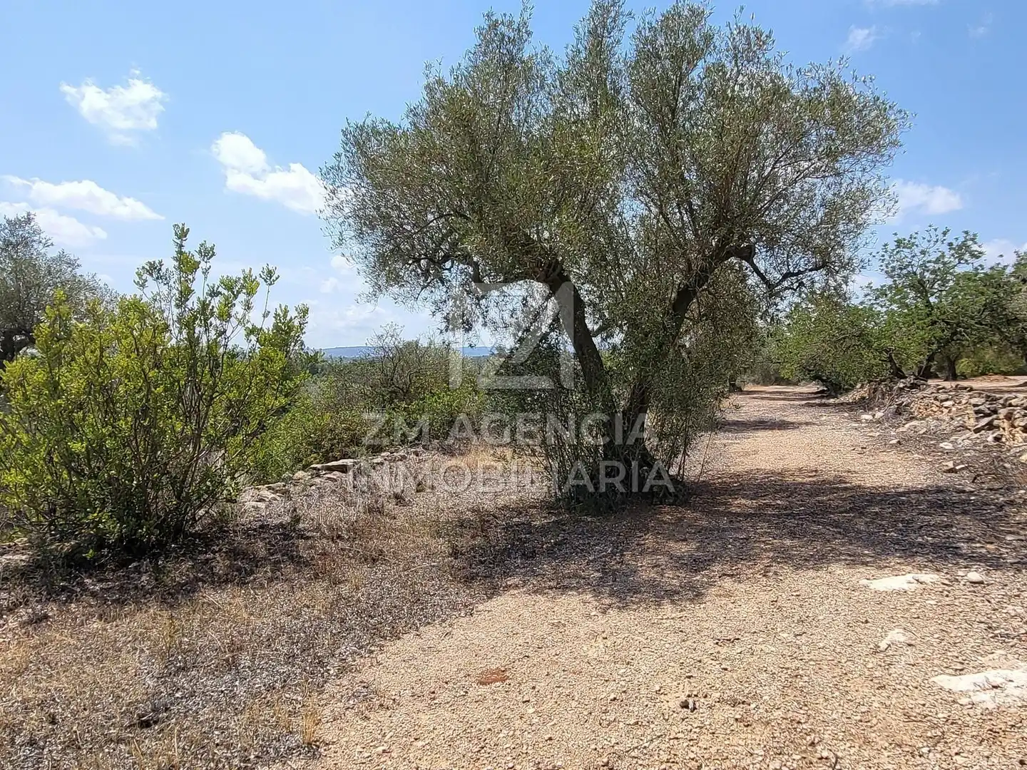 Terreno rustico in vendita a Traiguera, imagen 8