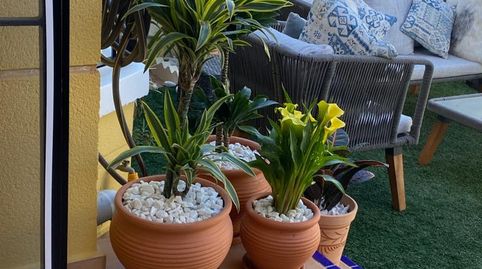 Foto 2 de Casa adosada en venta en El Raso, Guardamar del Segura