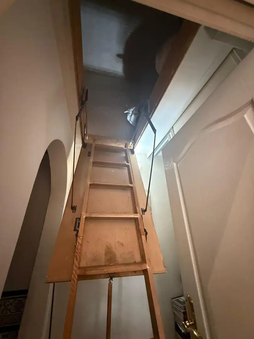Gewerbefläche zum Verkauf in Centro, imagen 2