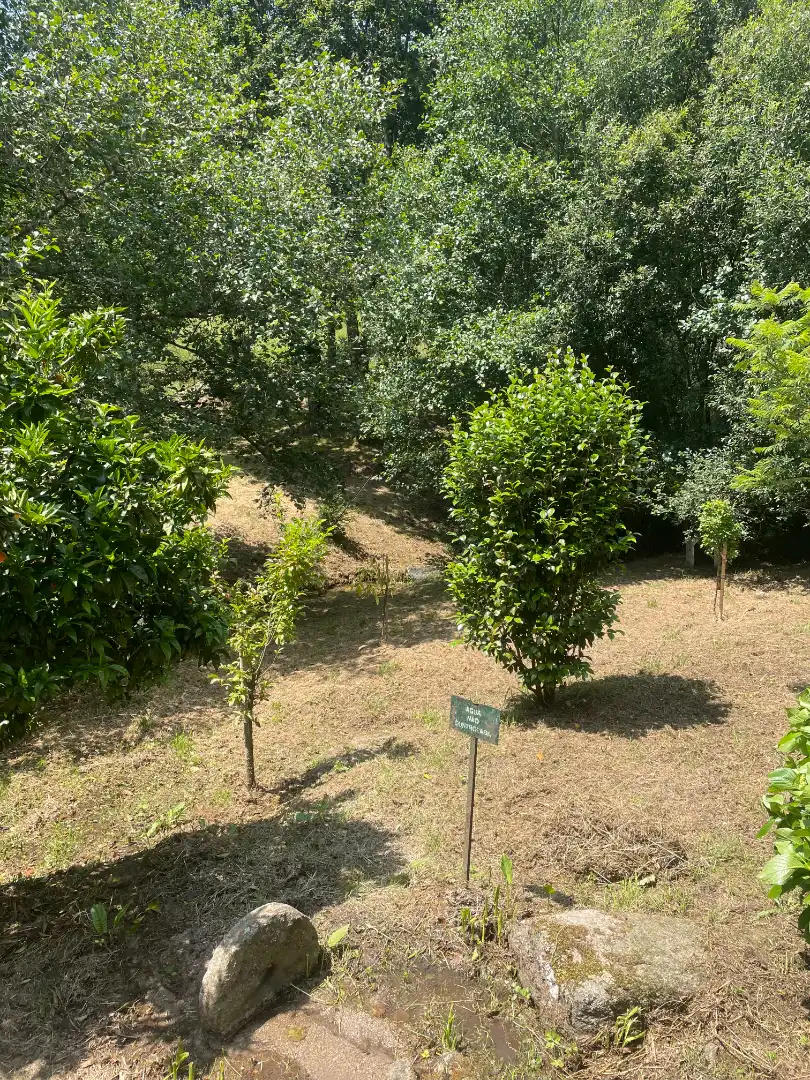 Xalet amb jardí en venda a Picouso, imagen 53