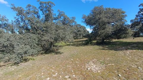 Foto 3 de Terreno en venta en Villafranca del Castillo, Villanueva de la Cañada