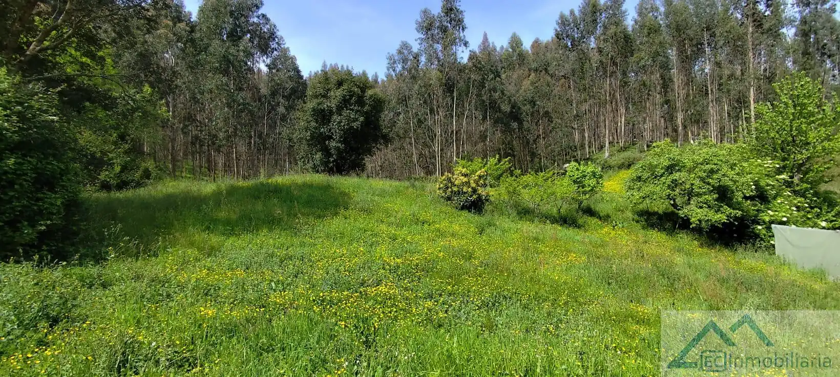 Casa o chalet en venta en Ribamontán al Monte con Calefacción y Piscina