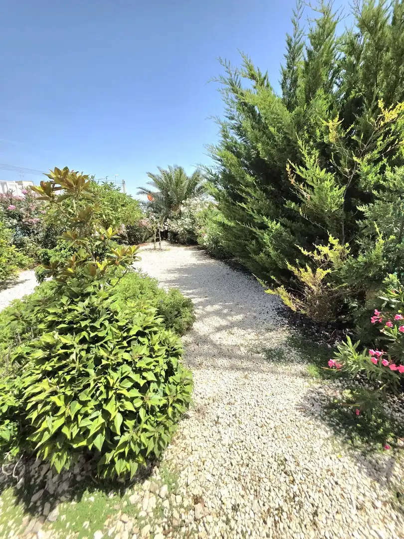 Jardí de Casa o xalet en venda en Torrevieja amb Aire condicionat, Jardí privat i Terrassa