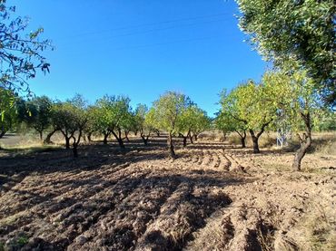 Rural land for sale in La Fresneda