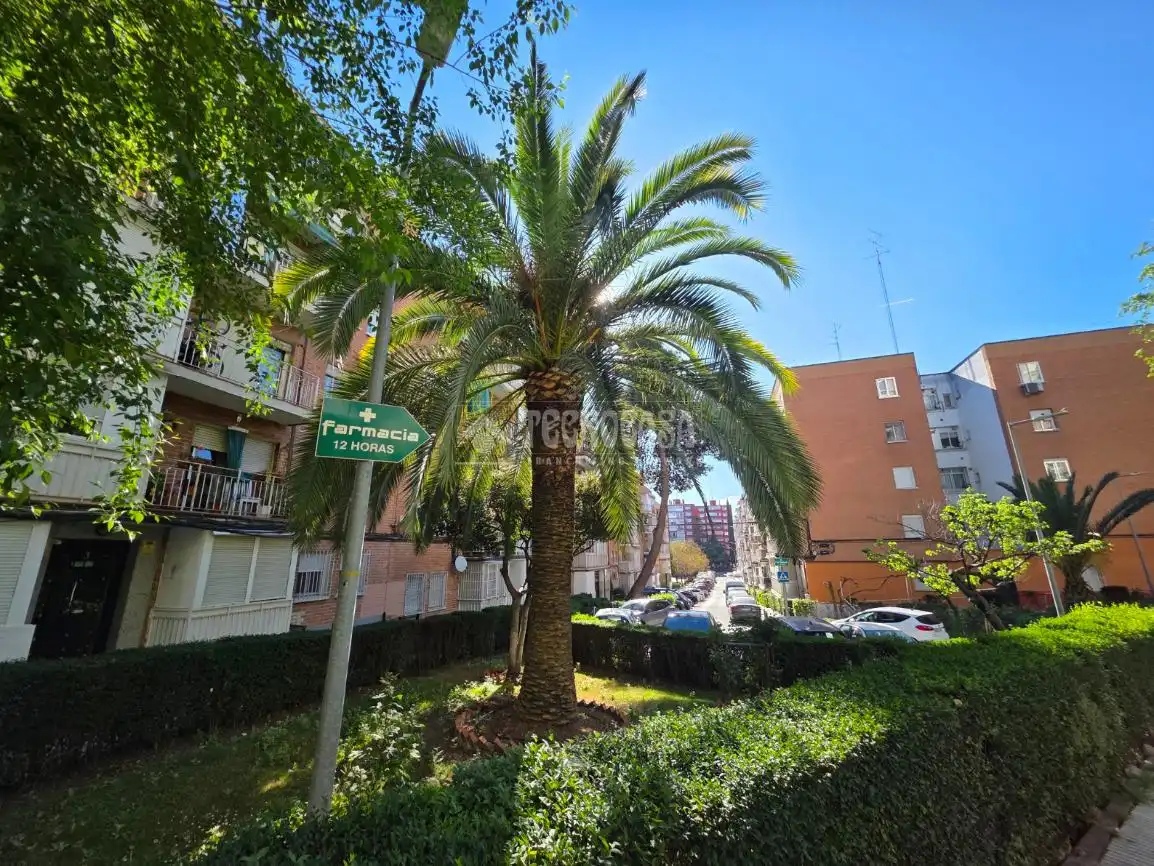 Piso en venta en Zona Centro Joven, Centro