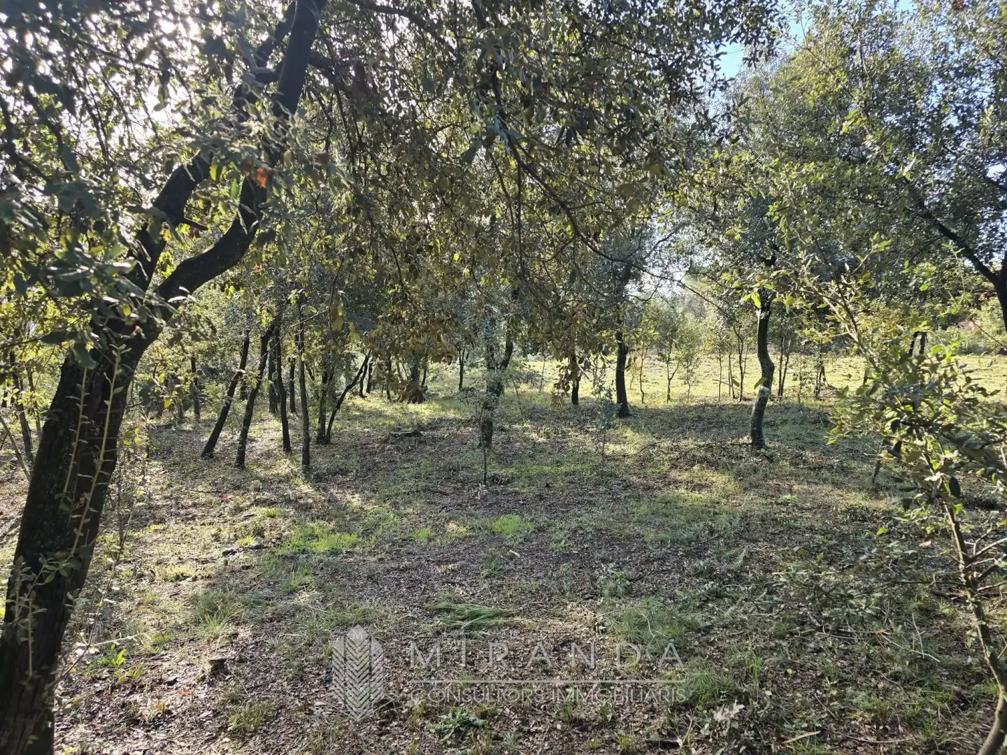 Residential land for sale in Sant come, imagen 7