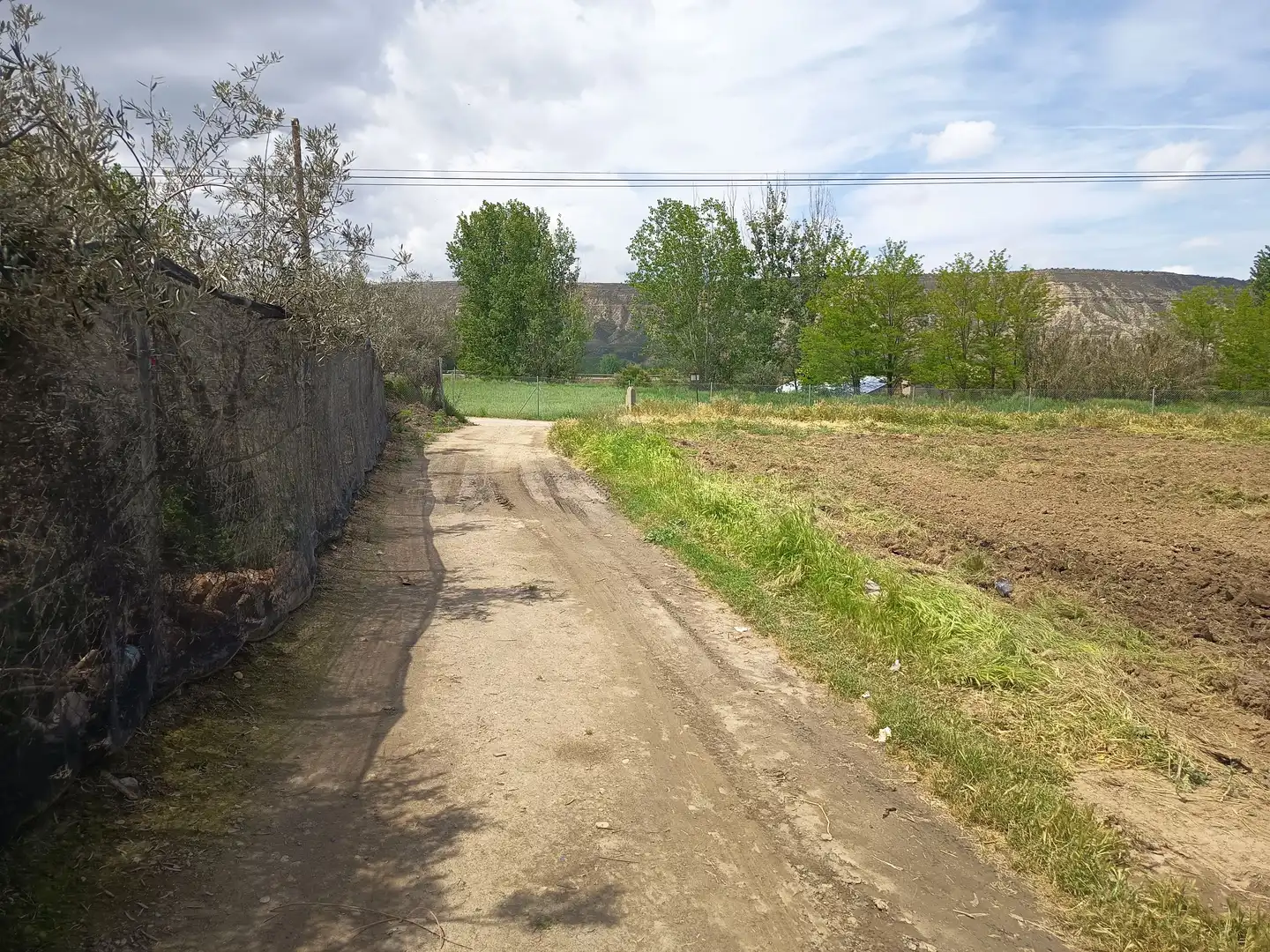 Rustikales Grundstück zum Verkauf in Fonelas, imagen 30