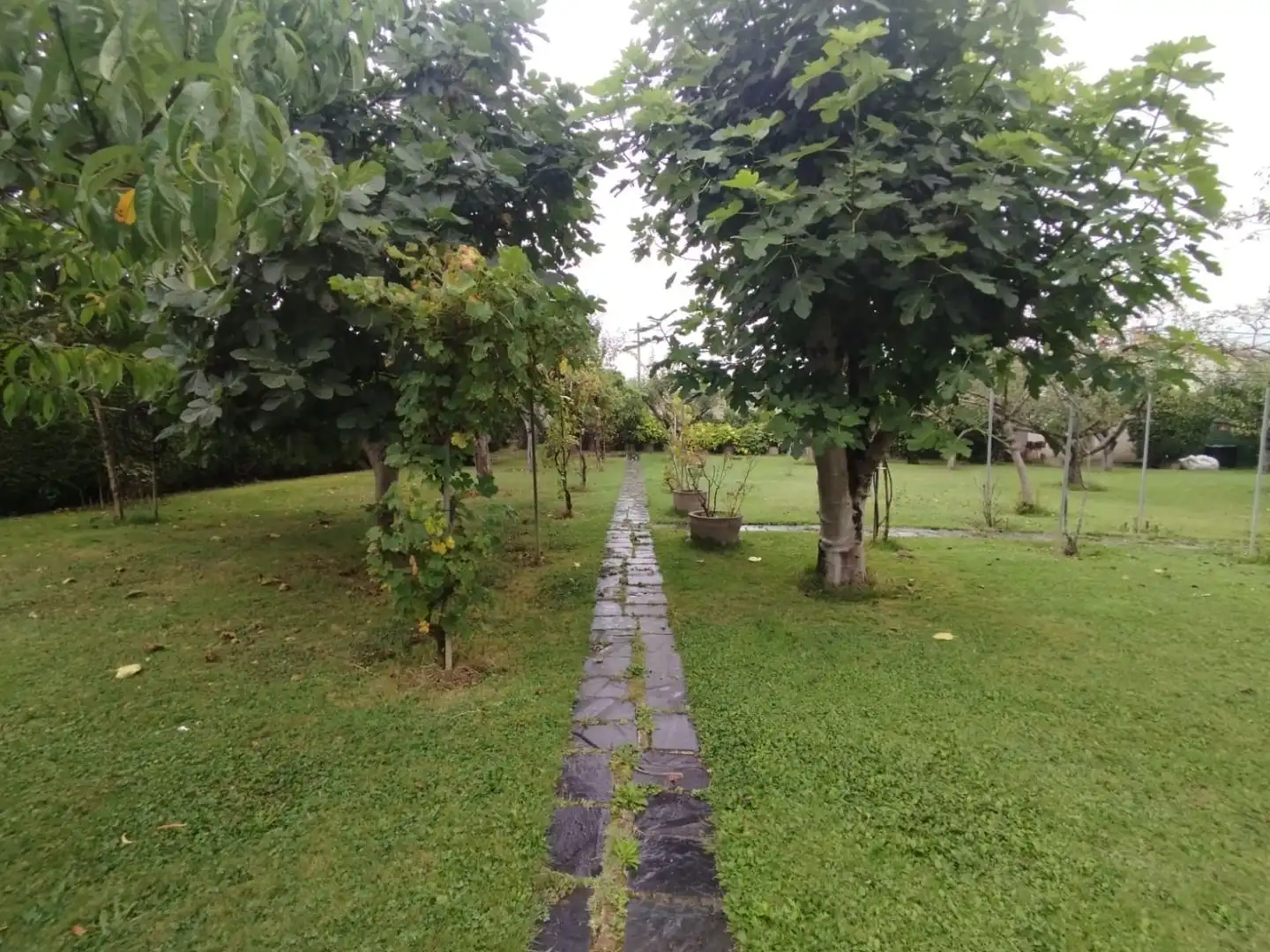 Villa con giardino in vendita a Camino del Cristo 600, imagen 15