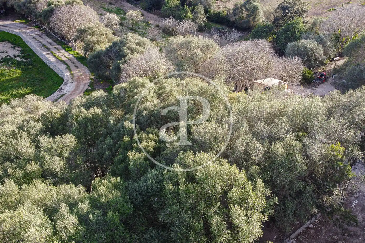 Residencial en venta en Santa Margalida