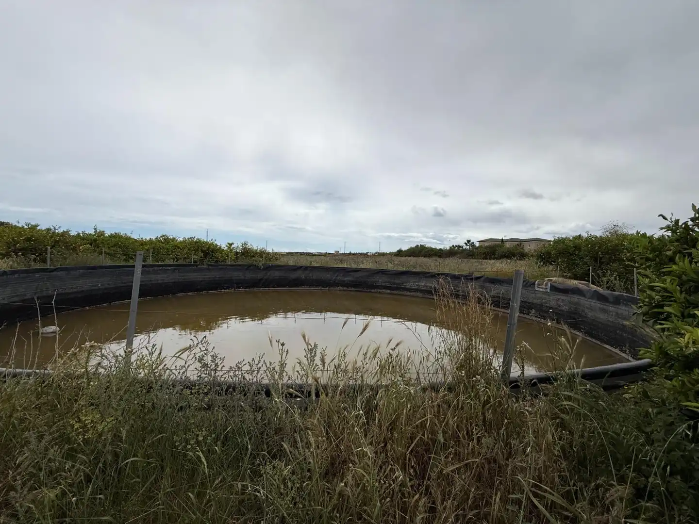 Terreno rústico en venta en Camino San Miguel de Salinas, imagen 7