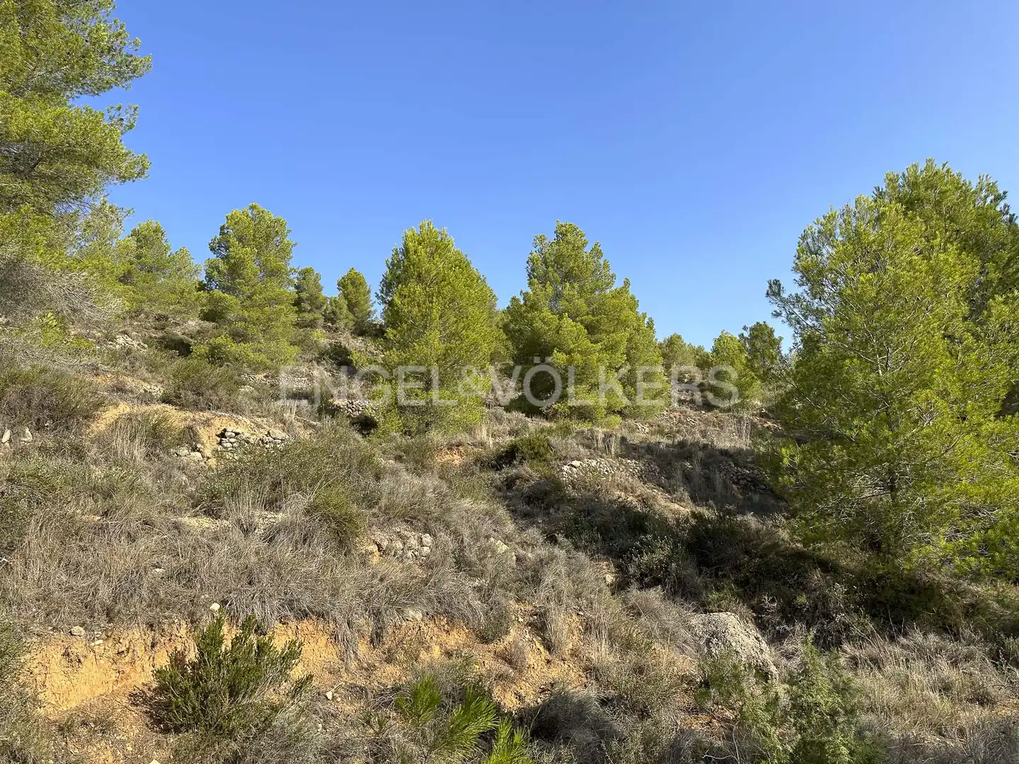 Residential land for sale in Torrelles de Foix, imagen 34