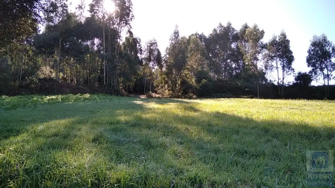 Terreno rustico in vendita a Llaranes, imagen 12