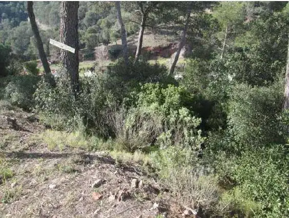 Terreny residencial en venda a Sant Llorenç Savall, imagen 2