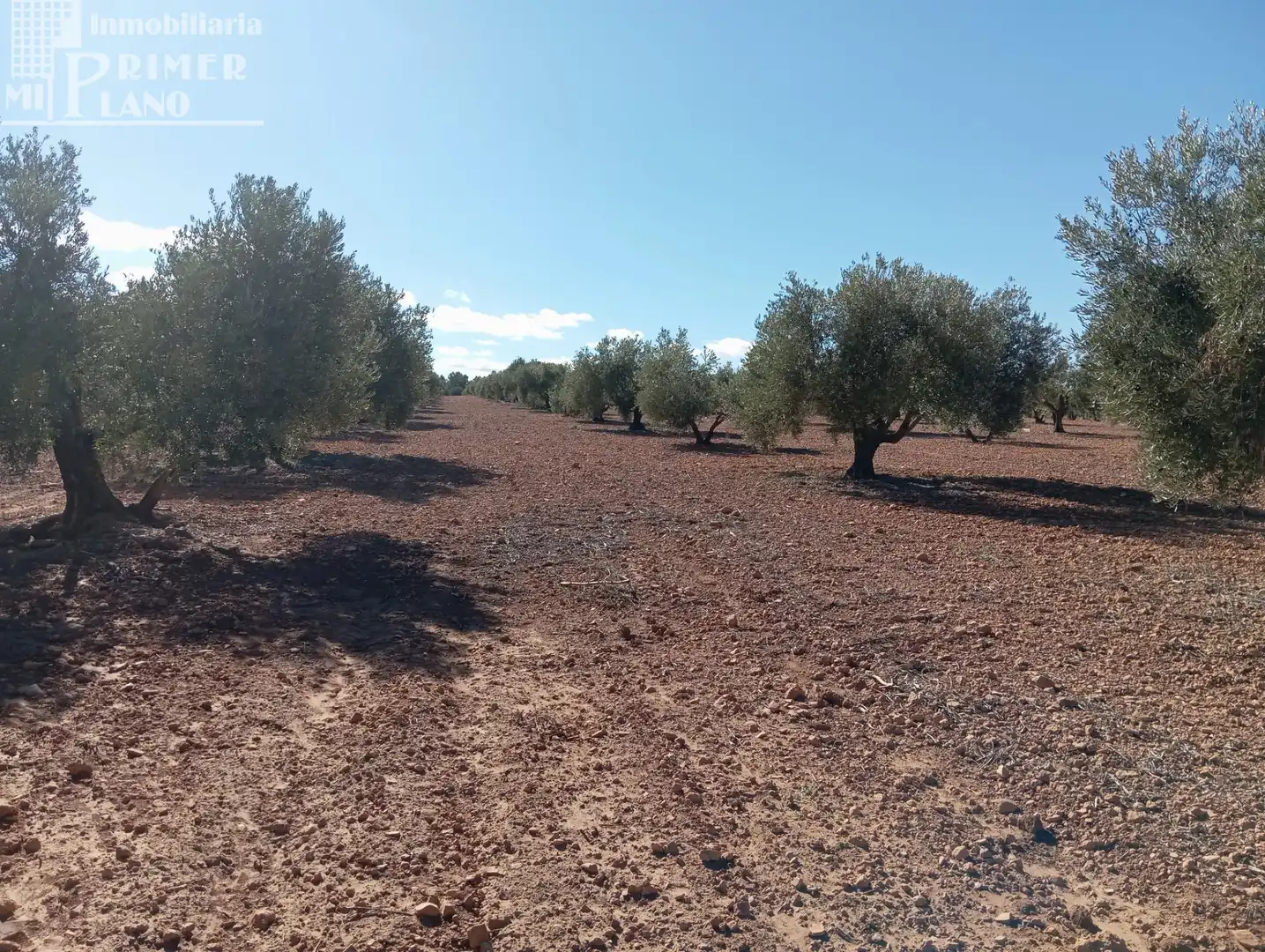 Terrenys i solars en venda a Argamasilla de Alba, imagen 3