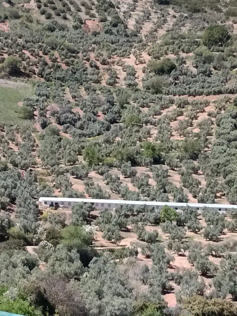 Finca rústica en venda en Chiclana de Segura, Jaén