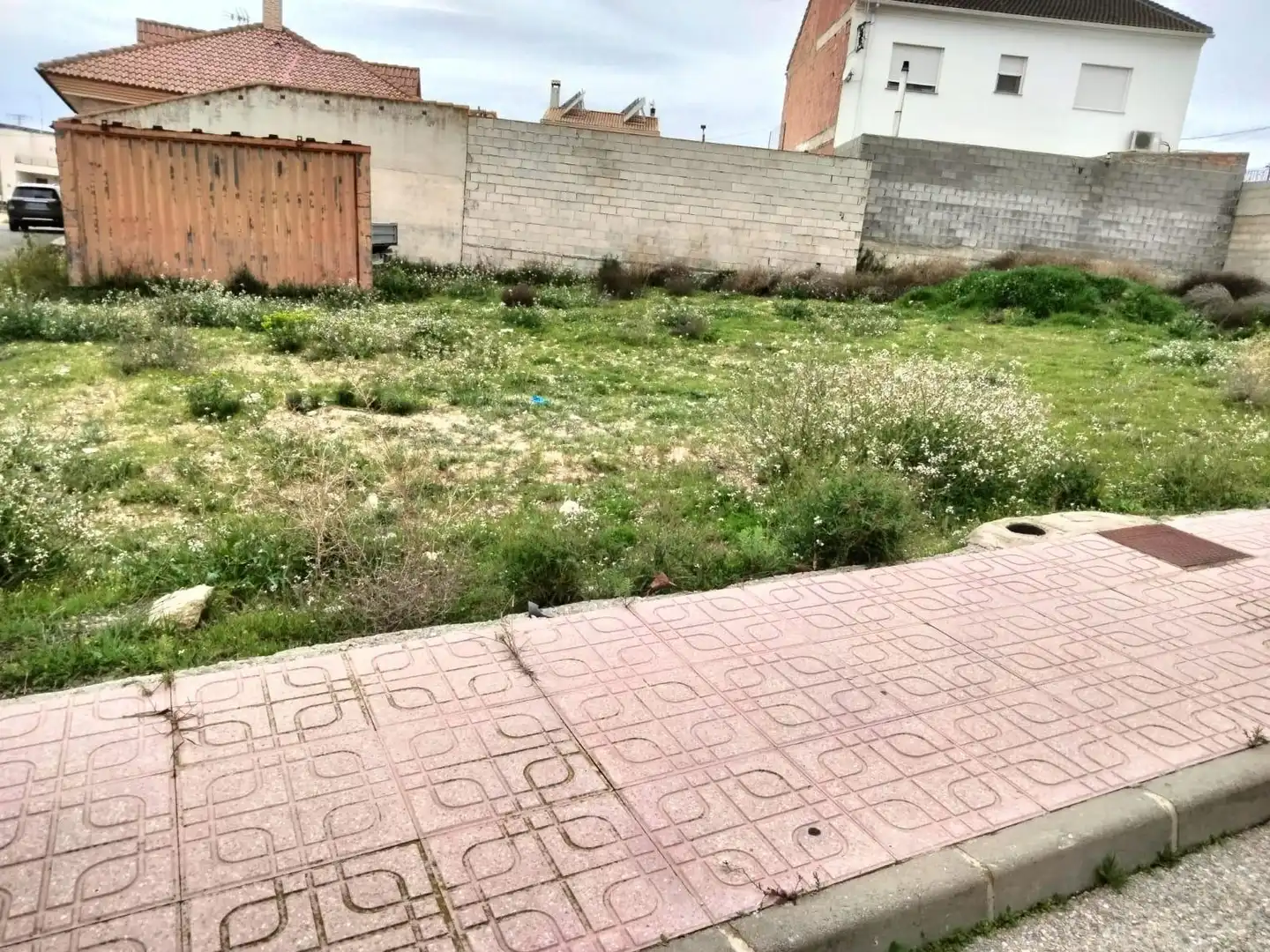 Lands and plots for sale in Bullas, imagen 4