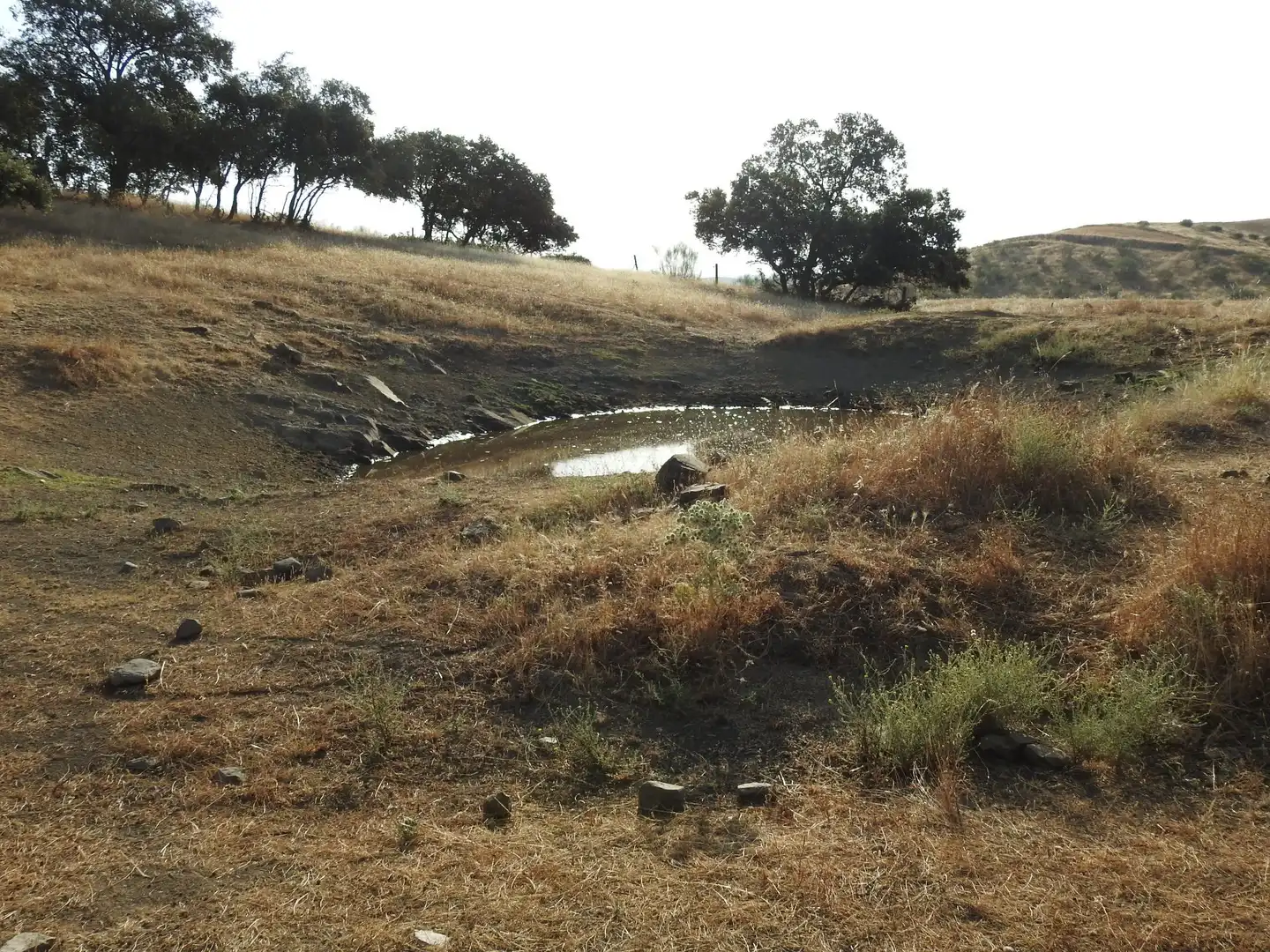 Land for sale in Villar del Pedroso