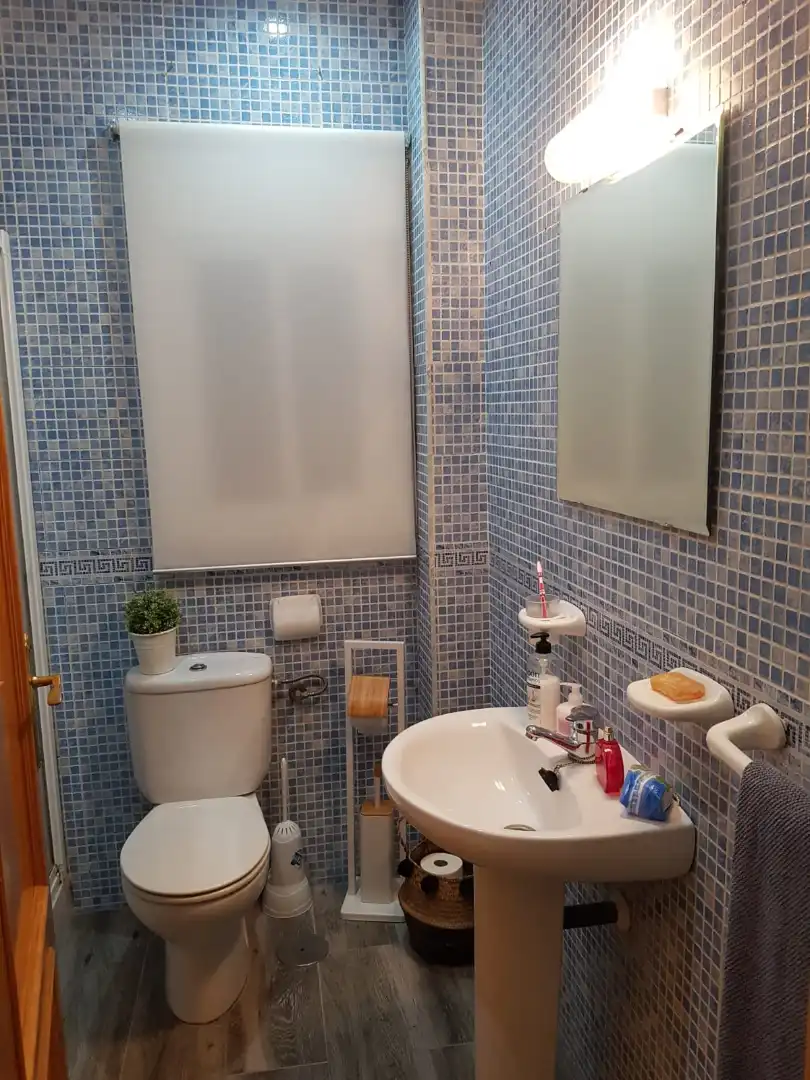 House with terrace for sale in Calle Toledano 14, imagen 9