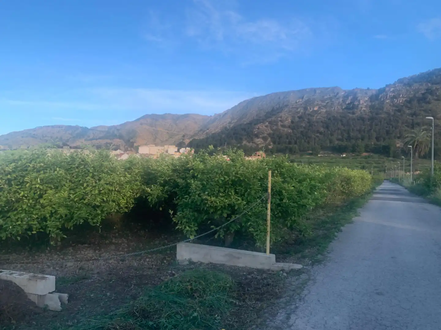 Terrenys i solars en venda a Pedanías Este, imagen 2