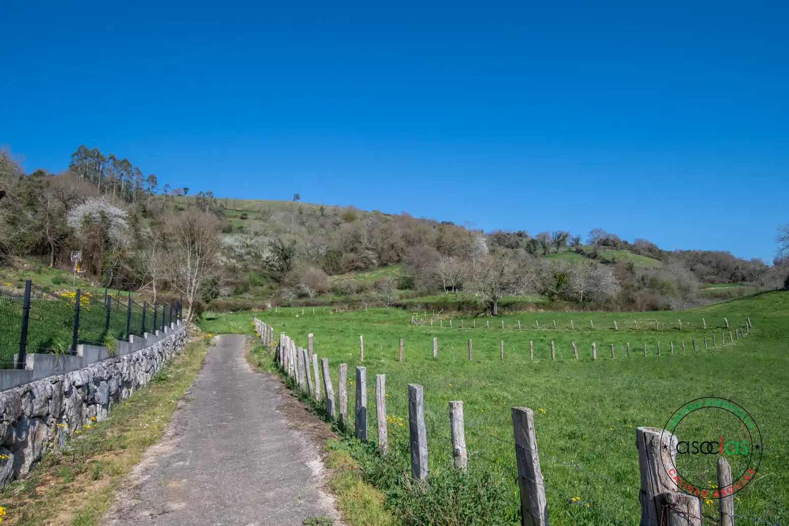 Terreny rústic en venda a San Román - Camino de VALDACEO-SAN ROMÁN, imagen 7