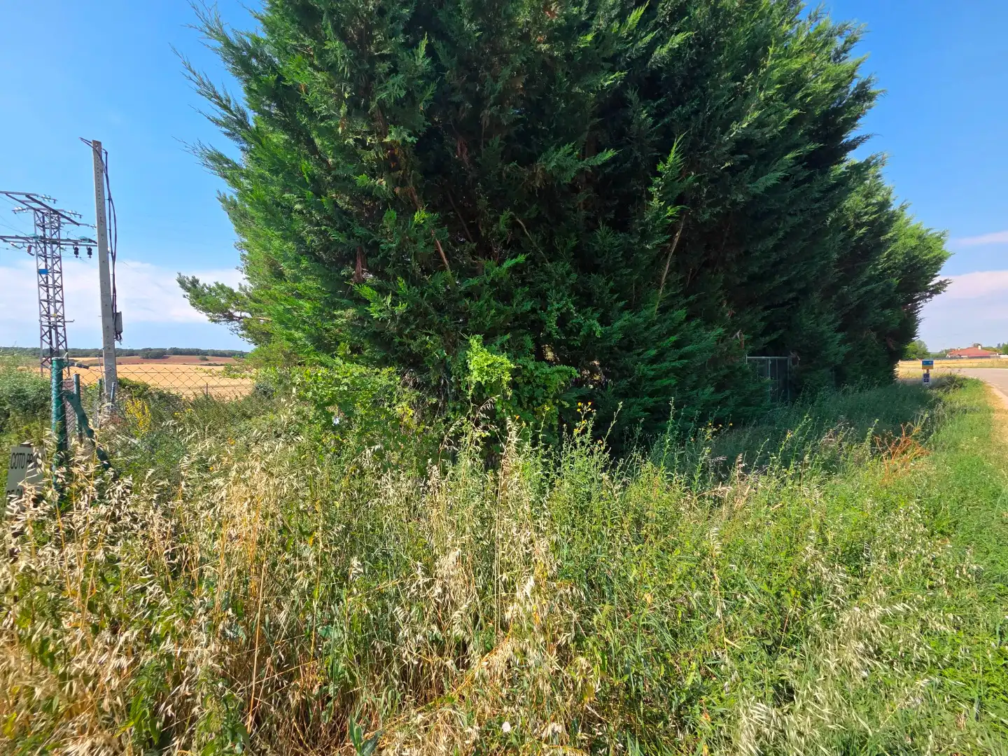 Terreno en venta en Orbaneja Riopico