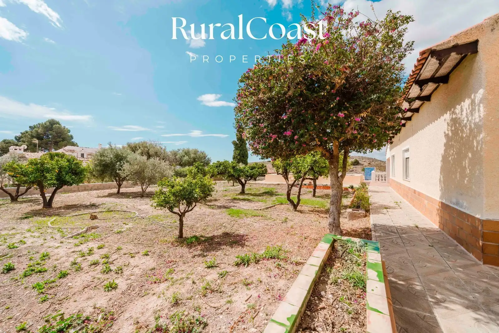 Casa o chalet en venta en JOAN VALLS, Valle del Sol