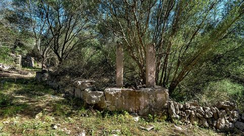 Foto 4 von Grundstücke zum Verkauf in Costitx, Illes Balears