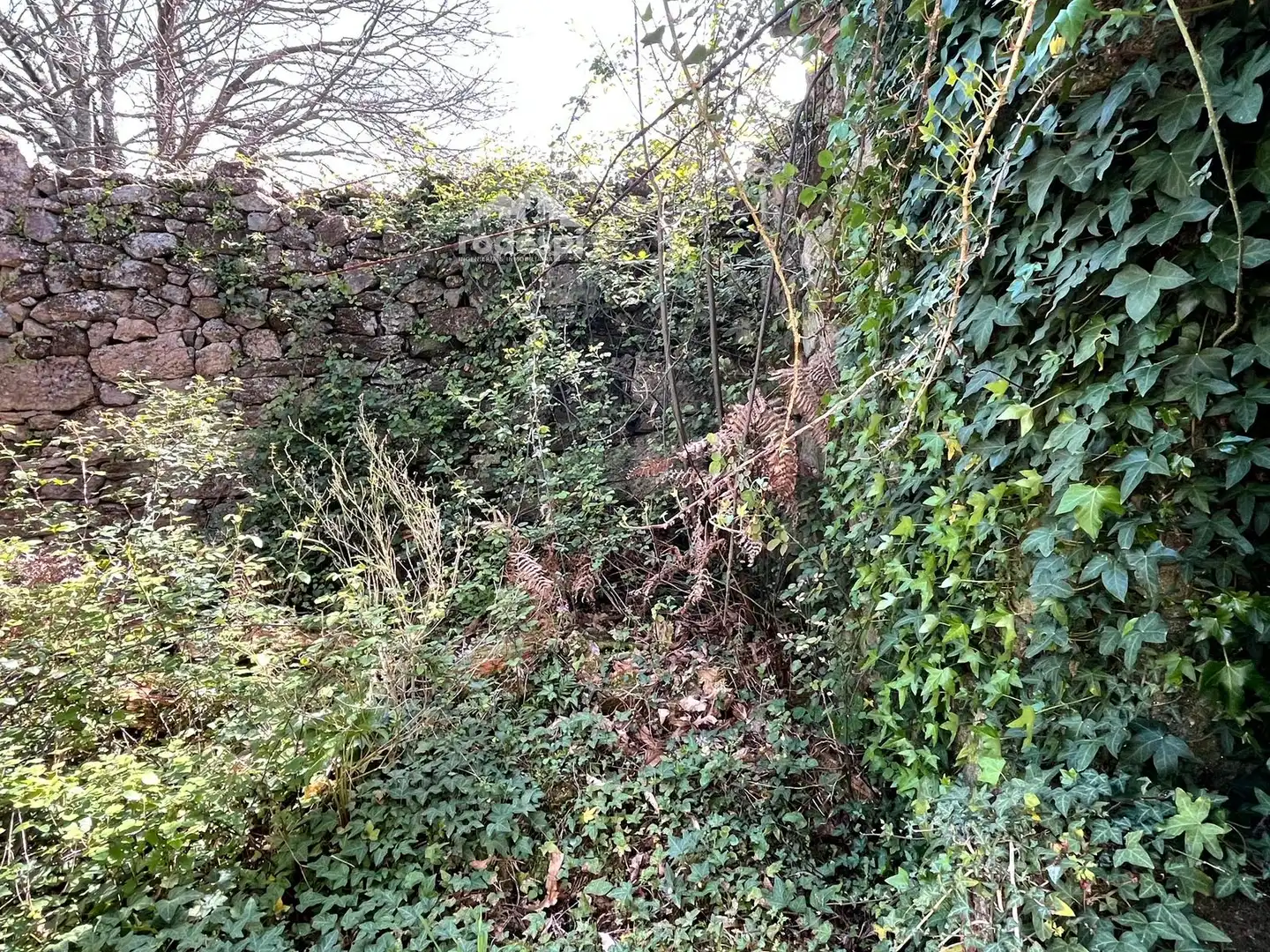 Rural land for sale in Arbo, imagen 2