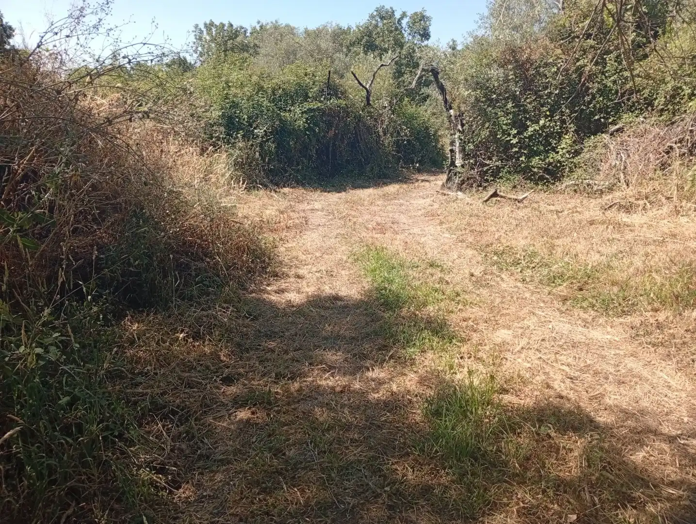 Terreni e lotti in vendita a Villanueva de la Vera, imagen 40