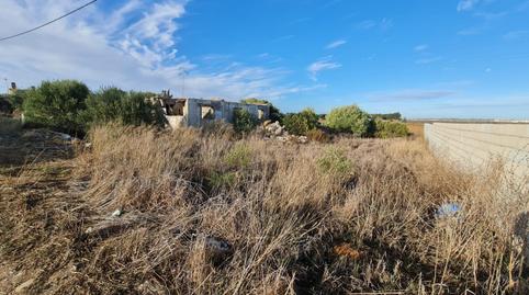 Foto 4 de Finca rústica en venda a  Camino Molino de Cafe, La Soledad, Chiclana de la Frontera