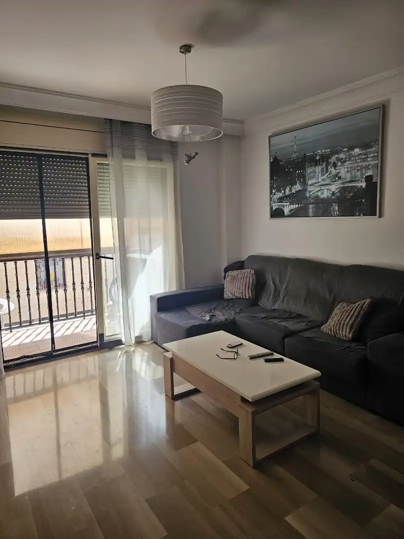 Sala d'estar de Apartament de lloguer en Guardamar del Segura amb Aire condicionat, Calefacció i Moblat