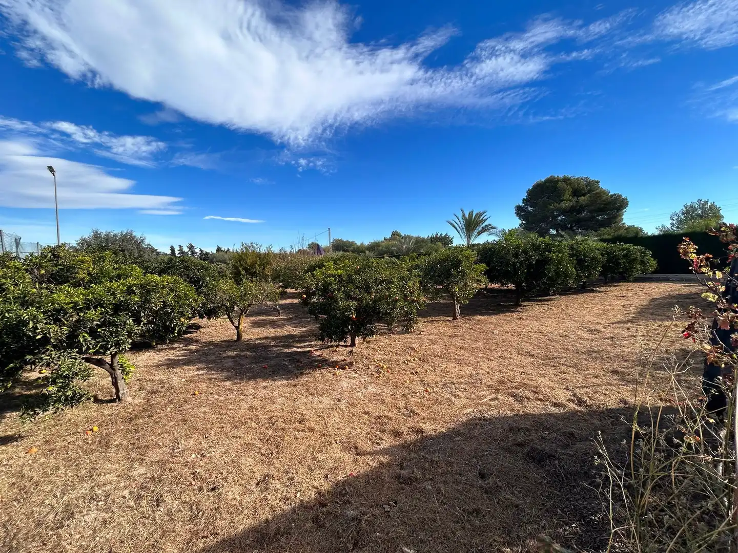 Villa avec terrasse à vendre à Los Balcones - Los Altos, imagen 7