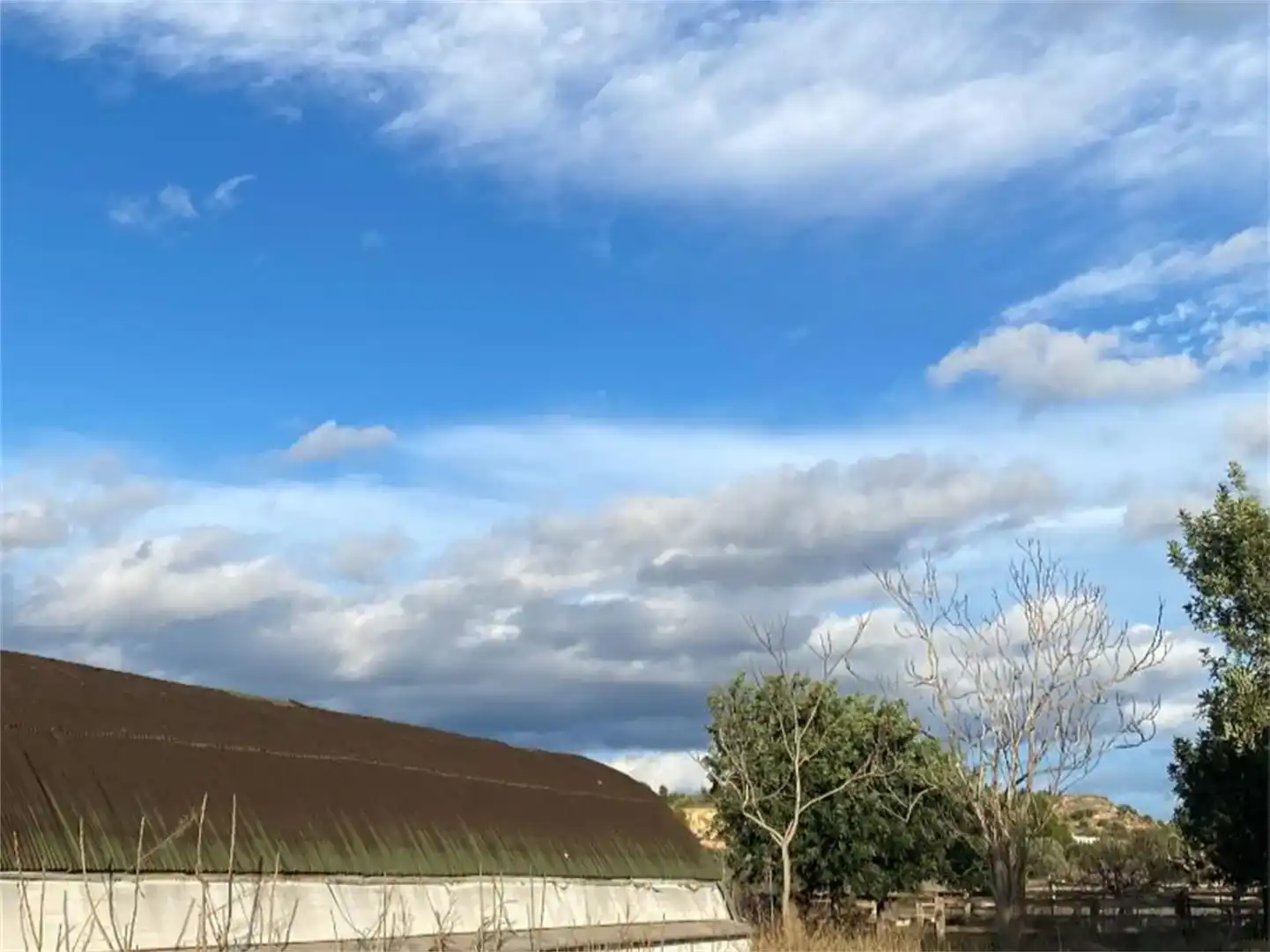 Vista exterior de Finca rústica en venta en Llíria