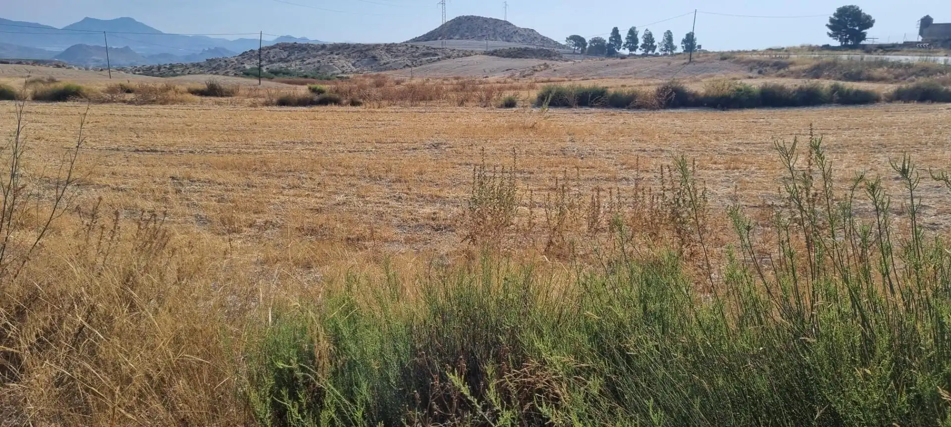 Lands and plots for sale in Mula, imagen 3