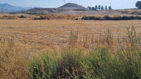 Magnífica Finca Rústica en Venta  Carretera de Mula Ojos, immagine 3
