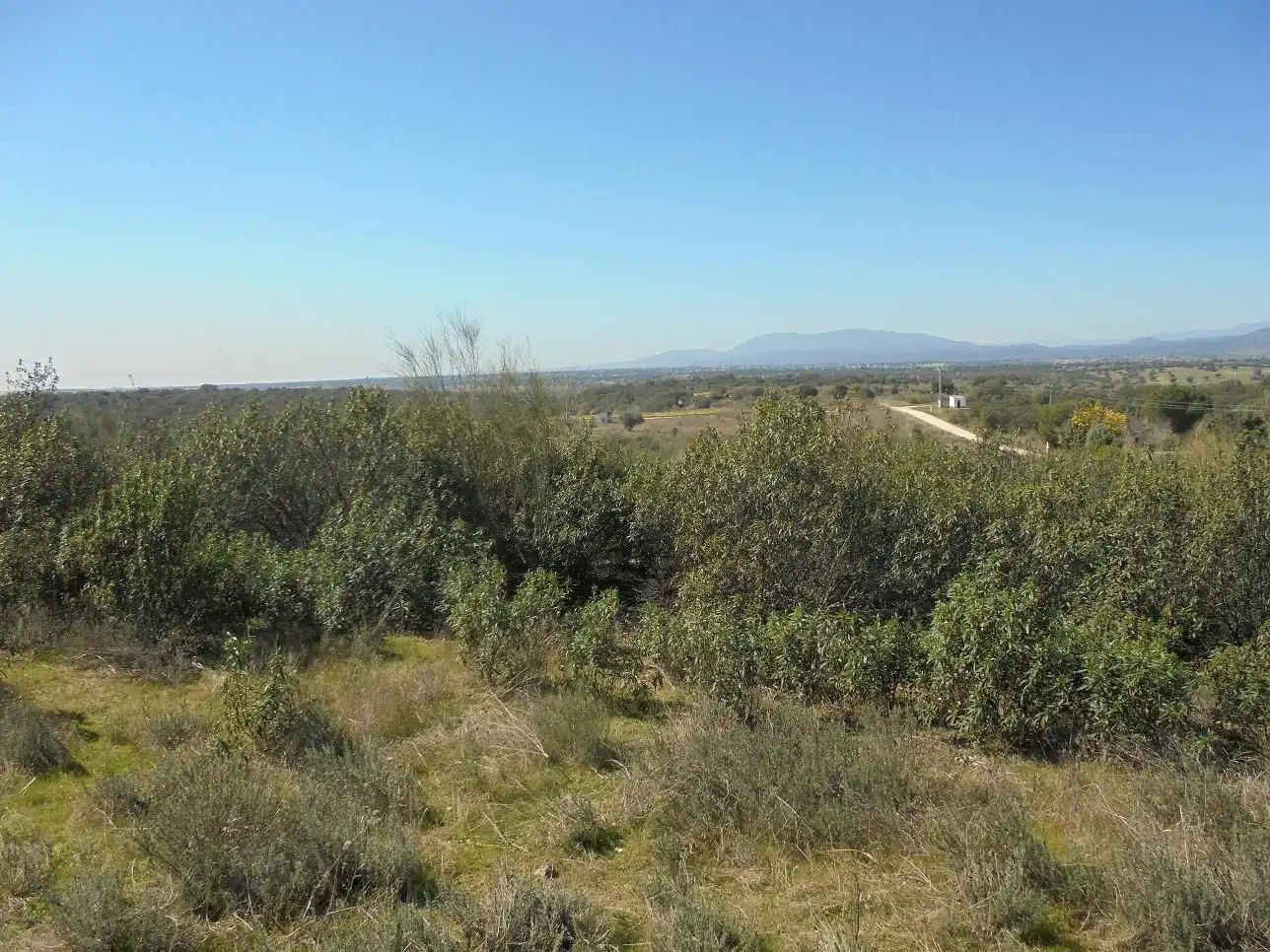 Residencial en venta en Hormigos