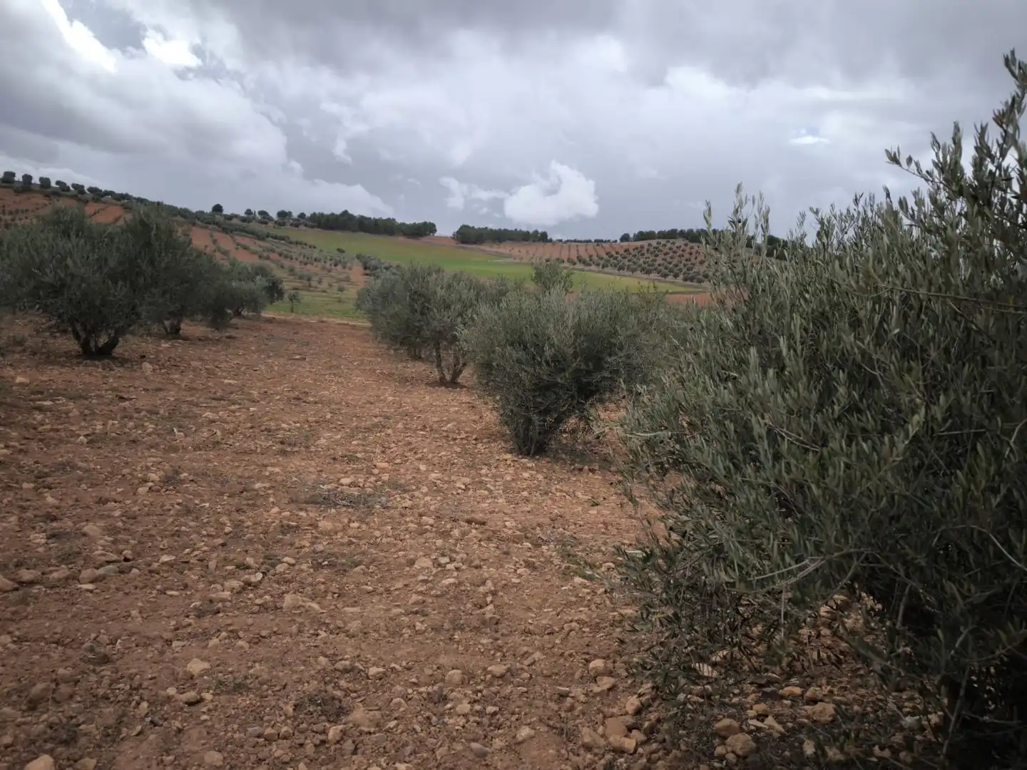 Casa rústica en venda a Valdepeñas, imagen 14