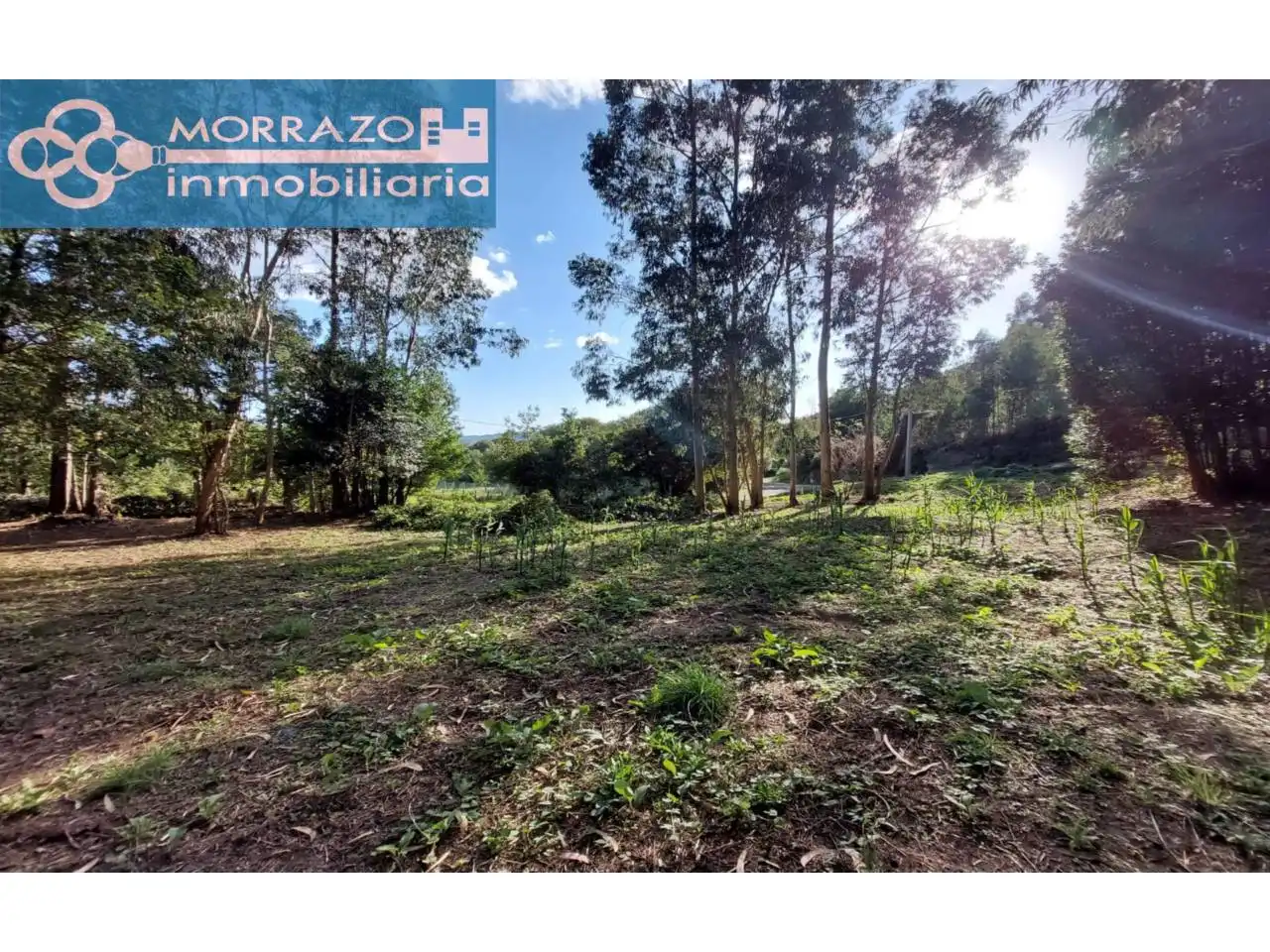 Terreno rustico in vendita a Bueu, imagen 47