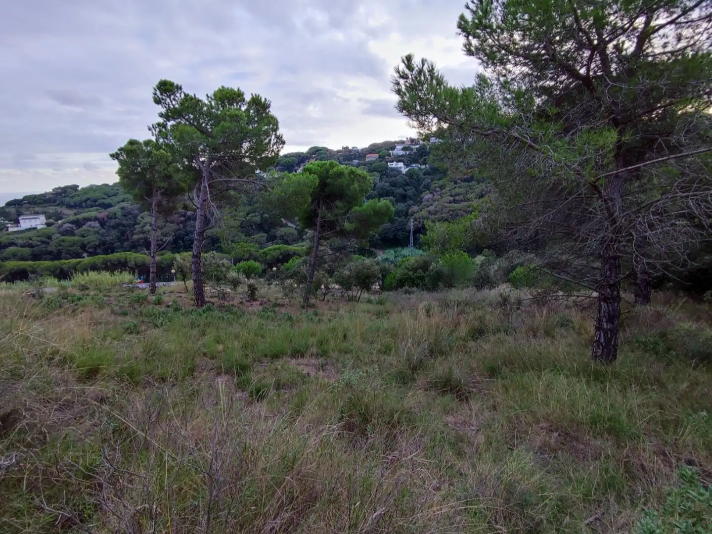 Wohnbaugrundstück zum Verkauf in Carrer del Riu Besòs 9, imagen 5