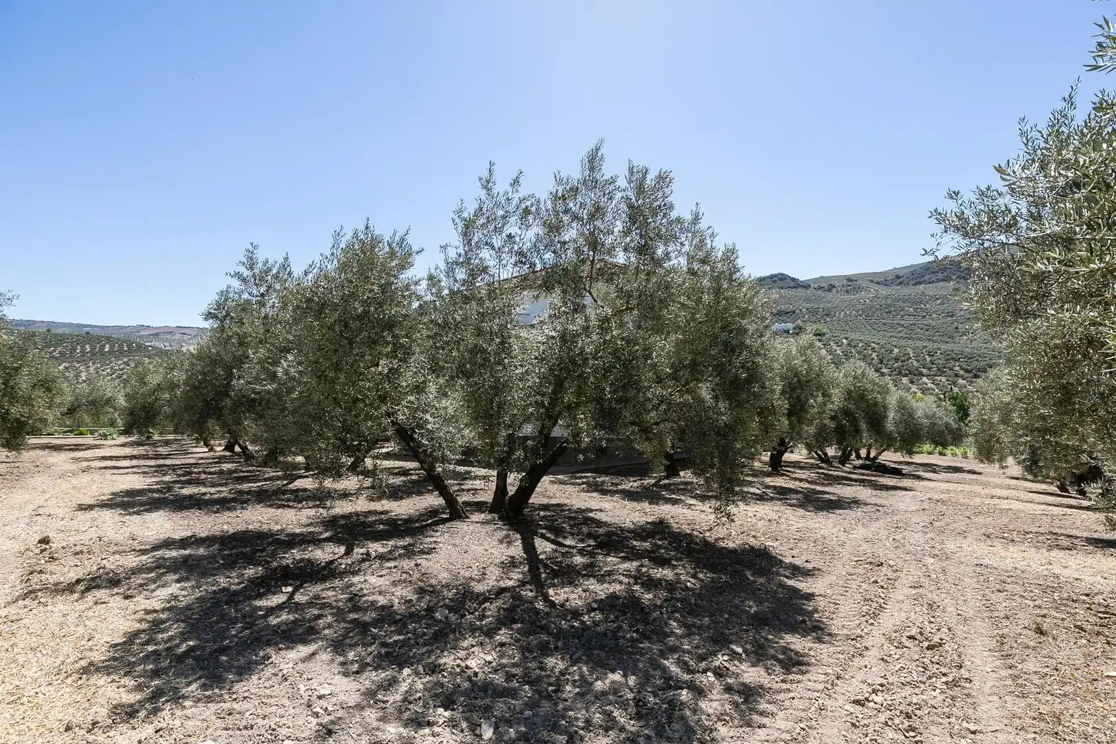 Finca rústica en venta en Montefrío con Calefacción, Jardín privado y Terraza
