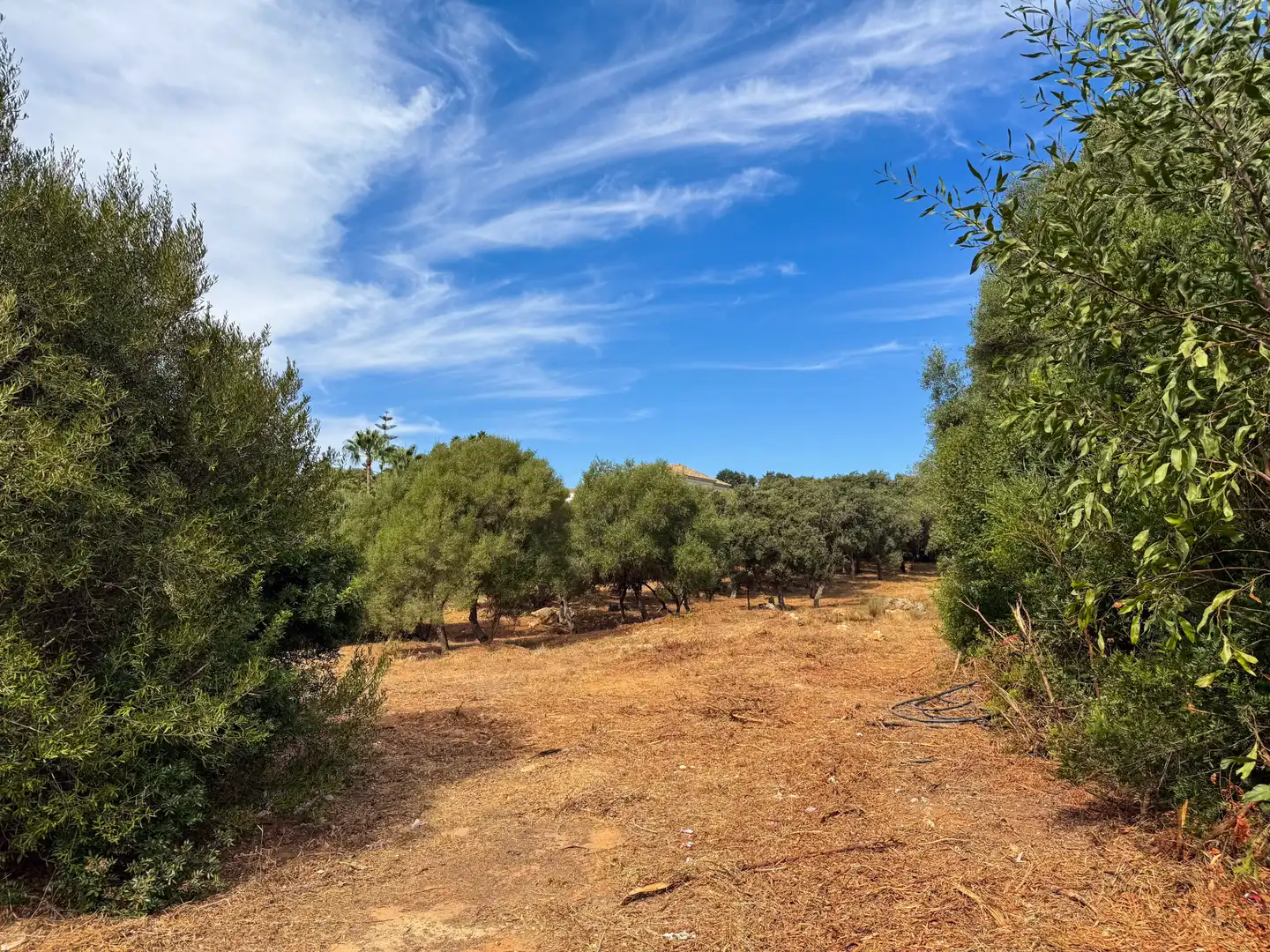Grundstücke und Bauplätze zum Verkauf in Sotogrande Alto, imagen 22