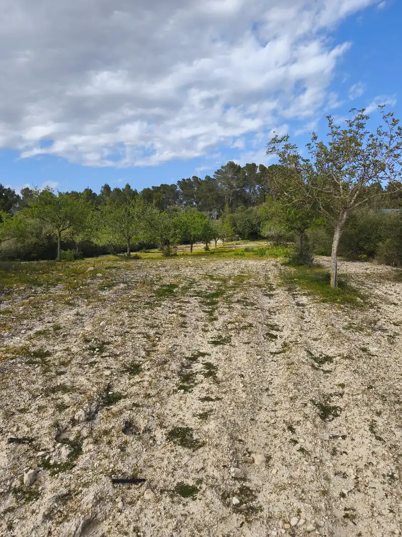 Terreno rustico in vendita a Sant Joan