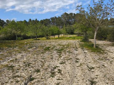 Terrain rustique à vendre à Sant Joan