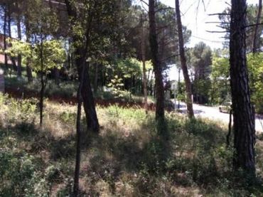 Terreno residenziale in vendita a Seva
