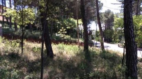 3 PARCELAS DE 1.002 M2 APROX. CADA UNA.
PARCELA ESQUINERA: 60.000€
LAS OTRAS DOS PARCELAS: 48.000€ CADA UNA.
A CONSULTAR PRECIO